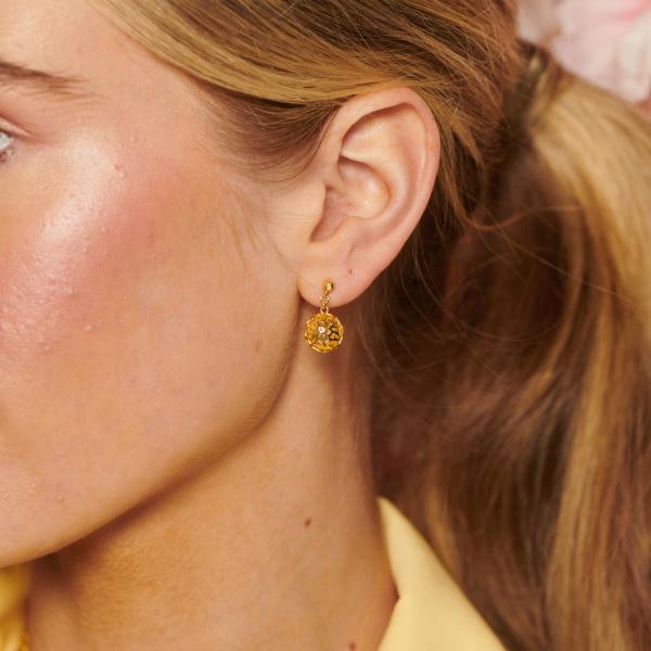 jewellery-earring-drop-earring-18ct-yellow-gold-plated-natural-diamond-12388a