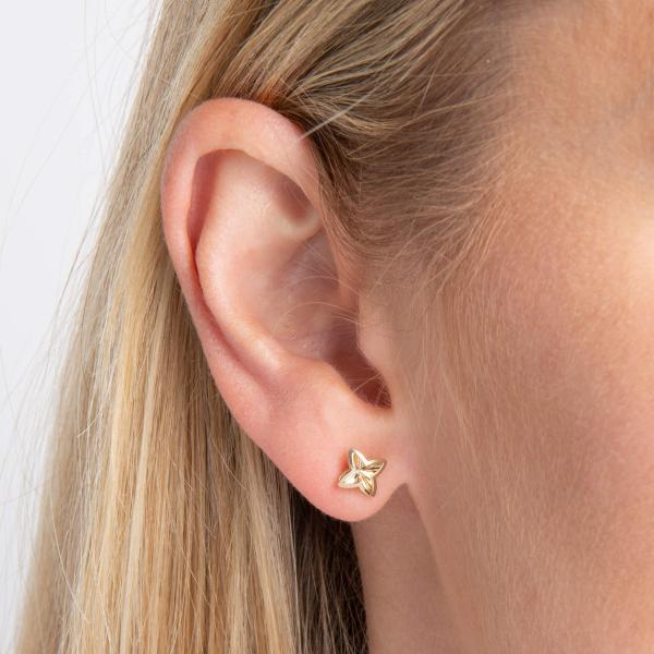 jewellery-earring-stud-earring-9ct-yellow-gold-ec5c292