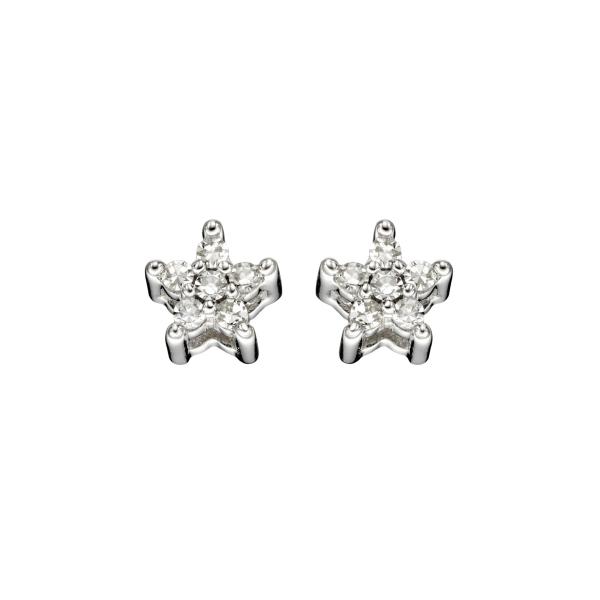 jewellery-earring-stud-earring-9ct-white-gold-natural-diamond-s11dda5
