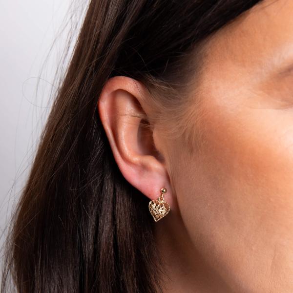 jewellery-earring-drop-earring-9ct-yellow-gold-wbae03a