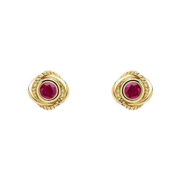 jewellery-earring-stud-earring-9ct-yellow-gold-ruby-y115eab