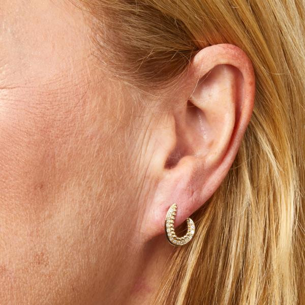 jewellery-earring-hoop-earring-9ct-yellow-gold-natural-diamond-efb6859