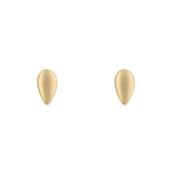 jewellery-earring-stud-earring-9ct-yellow-gold-w2df4c6