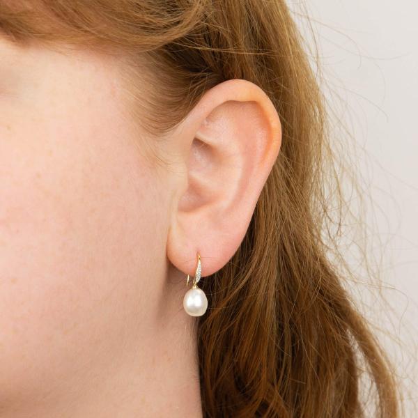 jewellery-earring-drop-earring-9ct-yellow-gold-pearl-h7323cb