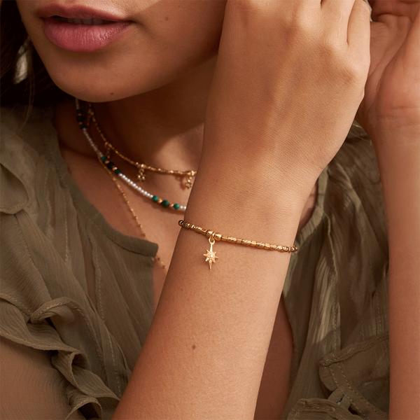 jewellery-bracelet-charm-bracelet-18ct-yellow-gold-plated-053275