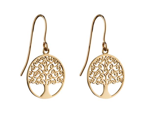 jewellery-earring-drop-earring-9ct-yellow-gold-be41699
