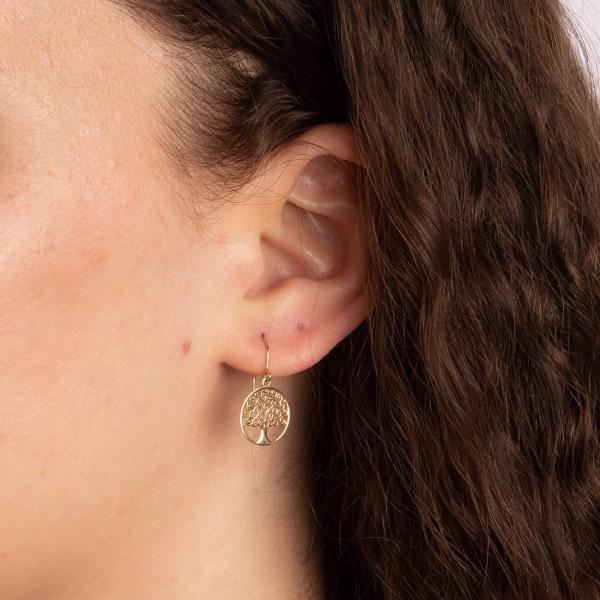 jewellery-earring-drop-earring-9ct-yellow-gold-e7a2684