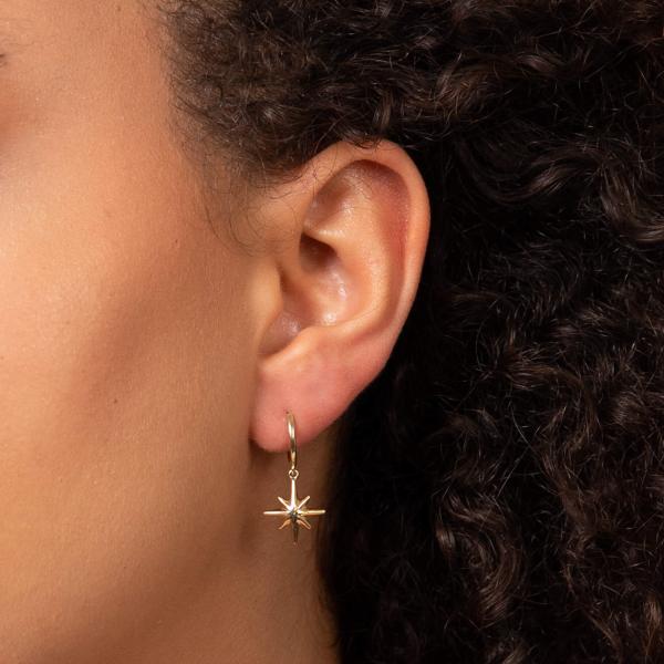 jewellery-earring-hoop-earring-9ct-yellow-gold-d44c8fc