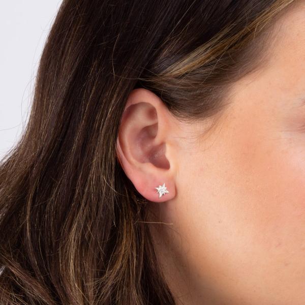 jewellery-earring-stud-earring-sterling-silver-ee5c604