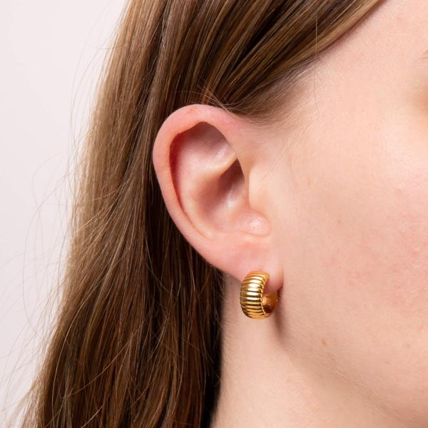 jewellery-earring-hoop-earring-yellow-gold-plated-hd9ea01