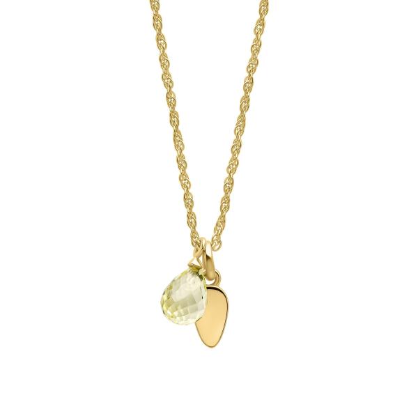 jewellery-necklace-pendant-necklace-yellow-gold-plated-o896afe