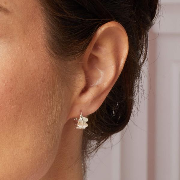 jewellery-earring-hoop-earring-sterling-silver-b0eb84e