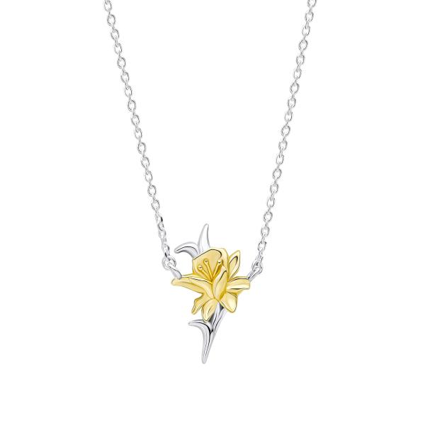 jewellery-necklace-pendant-necklace-mixed-metals-s1062a7
