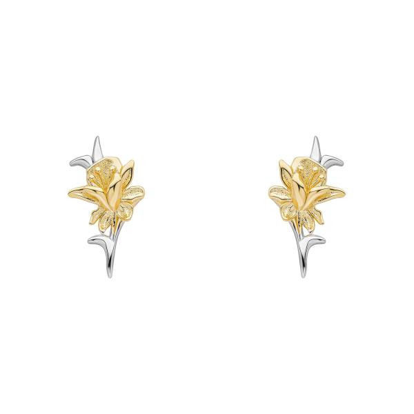 jewellery-earring-stud-earring-mixed-metals-w48ae78