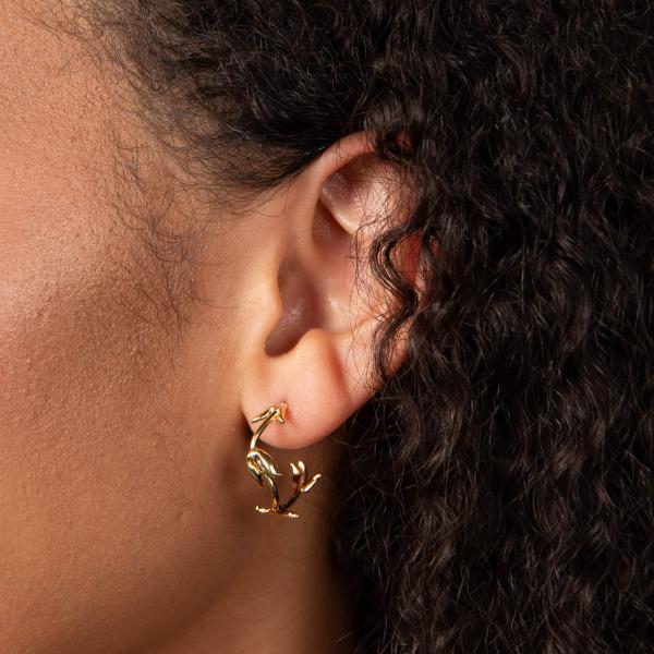 jewellery-earring-hoop-earring-v766ec4