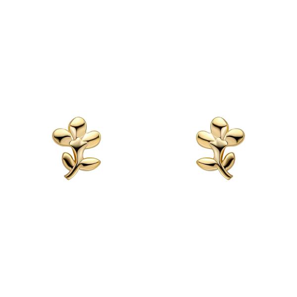 jewellery-earring-stud-earring-yellow-gold-plated-m02f098