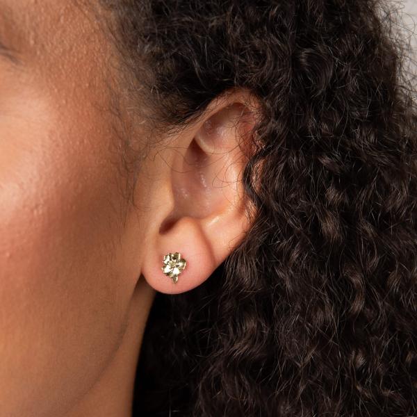 jewellery-earring-stud-earring-yellow-gold-plated-y00b717