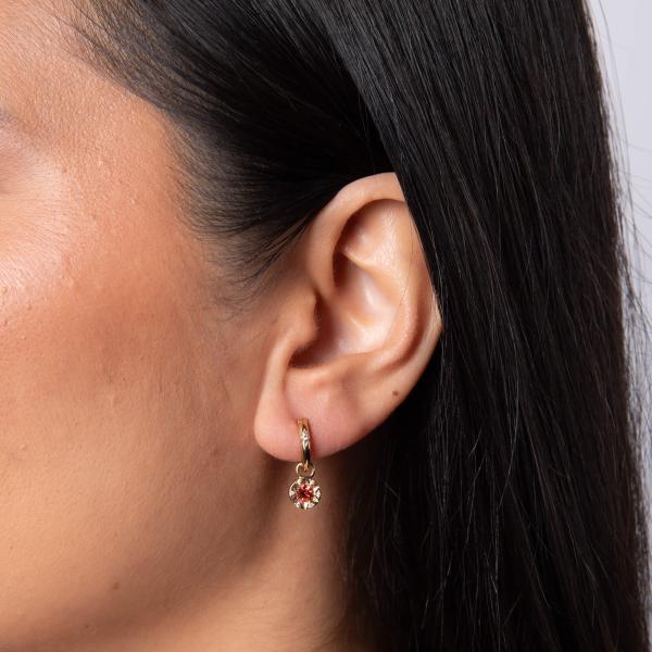 jewellery-earring-hoop-earring-yellow-gold-plated-z4997ba