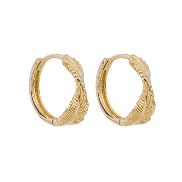 jewellery-earring-hoop-earring-9ct-yellow-gold-h9b0494