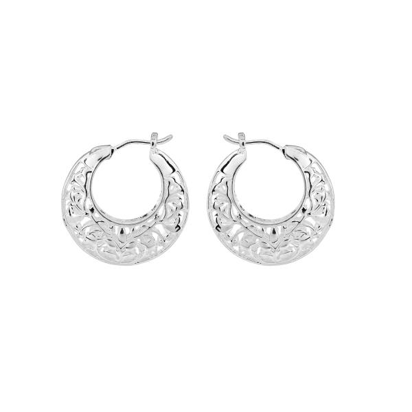 jewellery-earring-hoop-earring-d925709