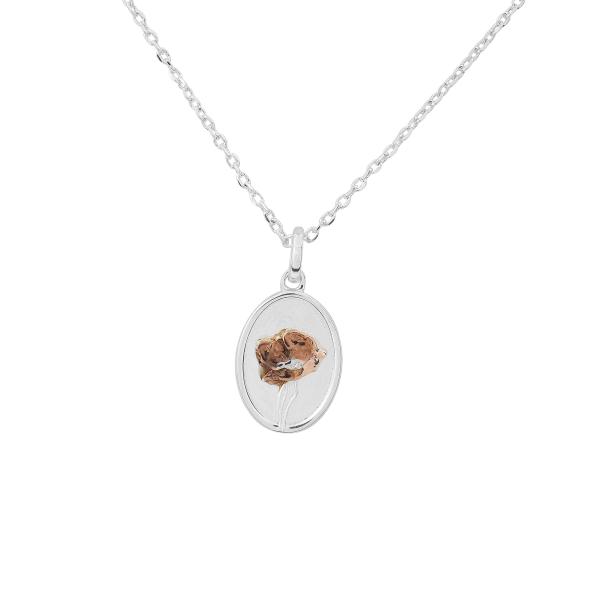 jewellery-necklace-pendant-necklace-x5cb8ee