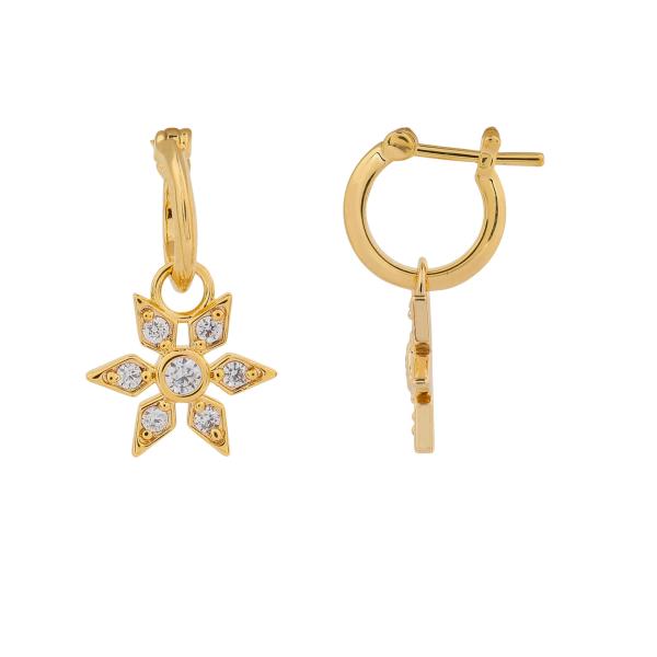 jewellery-earring-hoop-earring-yellow-gold-plated-c2d0a39