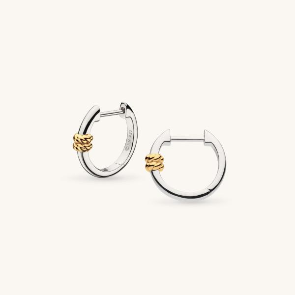jewellery-earring-hoop-earring-18k-yellow-gold-plated-48af0b