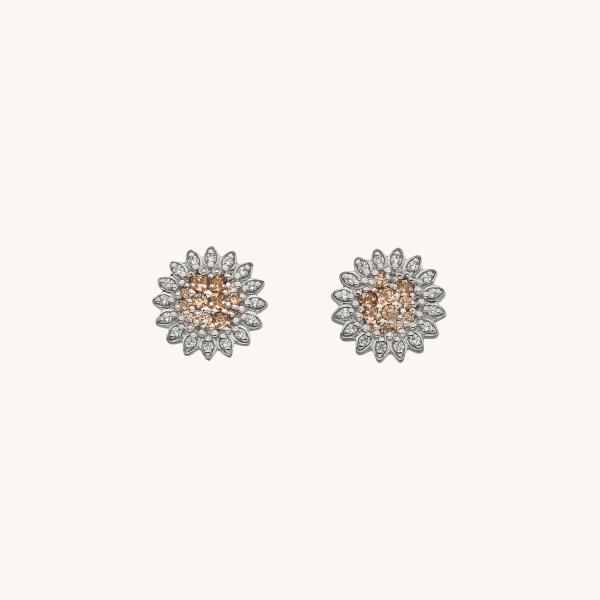 jewellery-earring-stud-earring-sterling-silver-6d918c