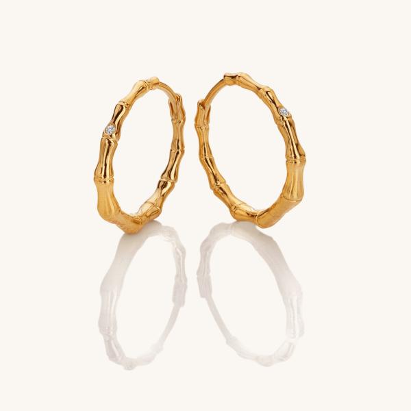 jewellery-earring-hoop-earring-18ct-yellow-gold-plated-natural-diamond-c29d17