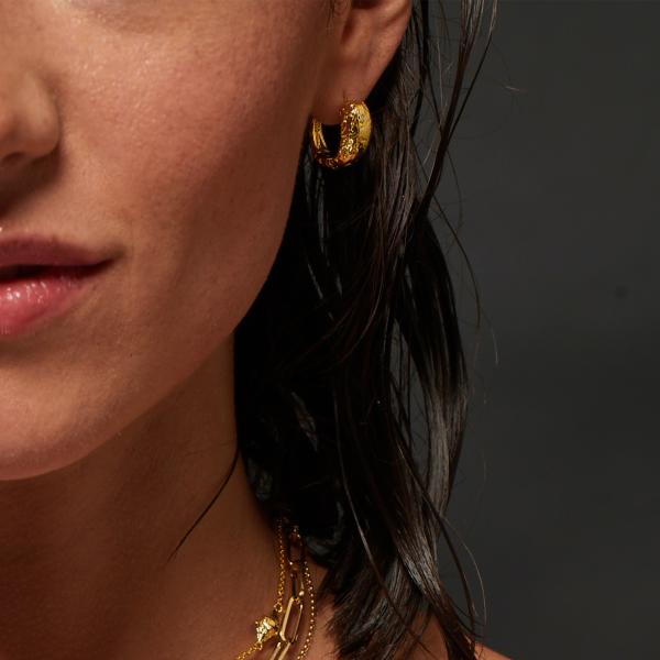 jewellery-earring-hoop-earring-18ct-yellow-gold-plated-natural-diamond-30df36